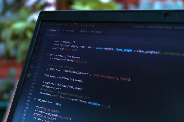 Essential guide to safely trimming your anxious guinea pig"s claws: expert advice you can trust